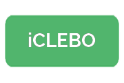 Ремонт роботов-пылесосов iCLEBO