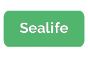 Ремонт фотоаппаратов Sealife